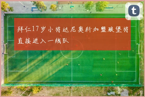 拜仁17岁小将达尼奥科加盟狼堡将直接进入一线队