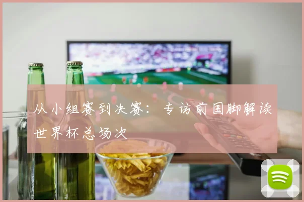 从小组赛到决赛：专访前国脚解读世界杯总场次